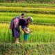 How to travel Vietnam