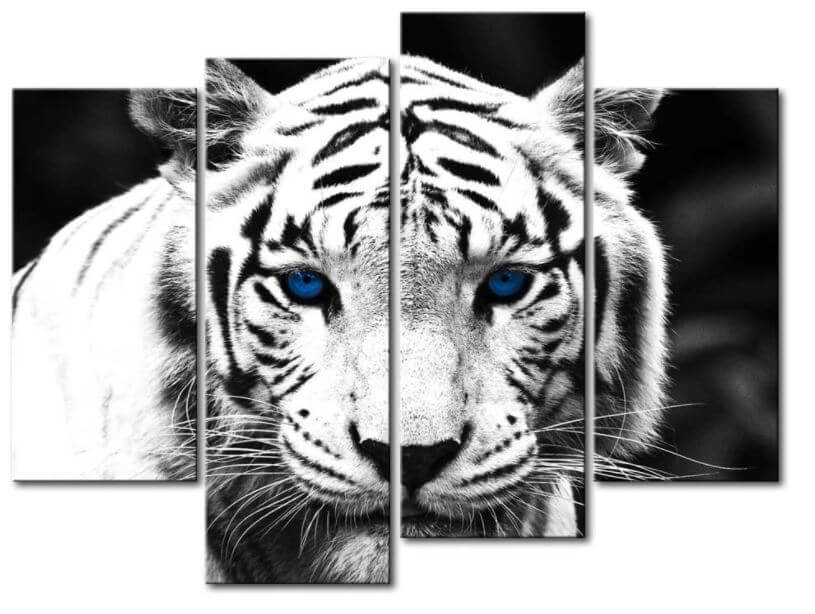 India animals symbol