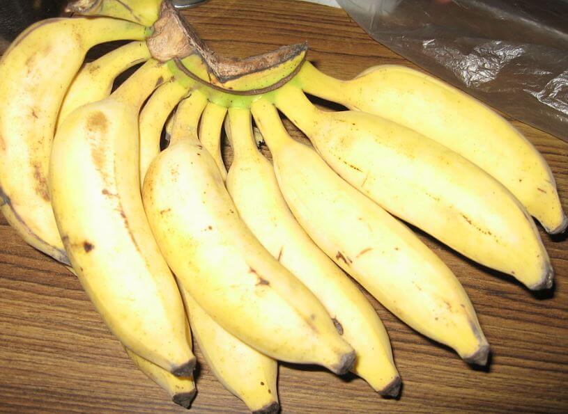 India fruit symbol
