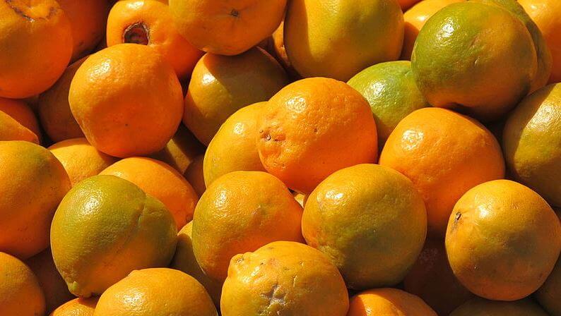 India fruits symbols
