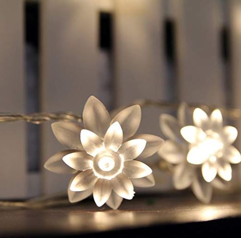 Buddhist symbols lotus flower