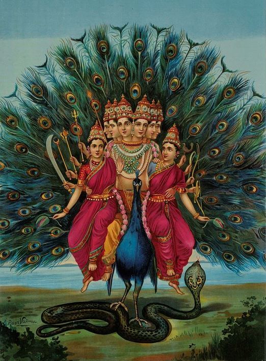 Peacock symbol in India