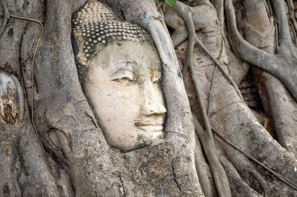 Buddhist symbols - The bodhi tree